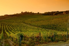 New Year in Chianti: Vacation at the top of taste and culture in Tuscany, Italy