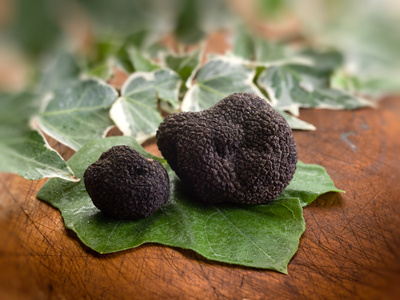 Italy is packed with wonderful truffle fairs and festivals in October and November.