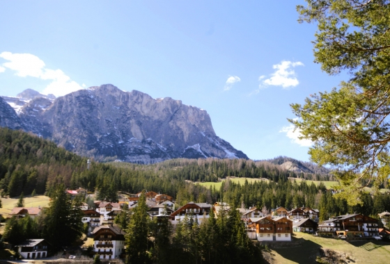 Apartment - Sale - Bolzano - Badia- Alta Badia