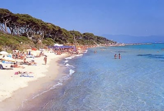 Apartment - Sale - Grosseto - Gavoranno