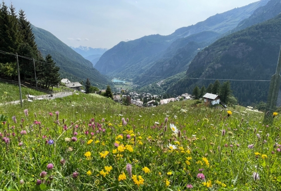 Chalet - Sale - Aosta - ITAAOC1