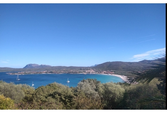 Detached - Sale - Porto Rotondo - Porto Rotondo