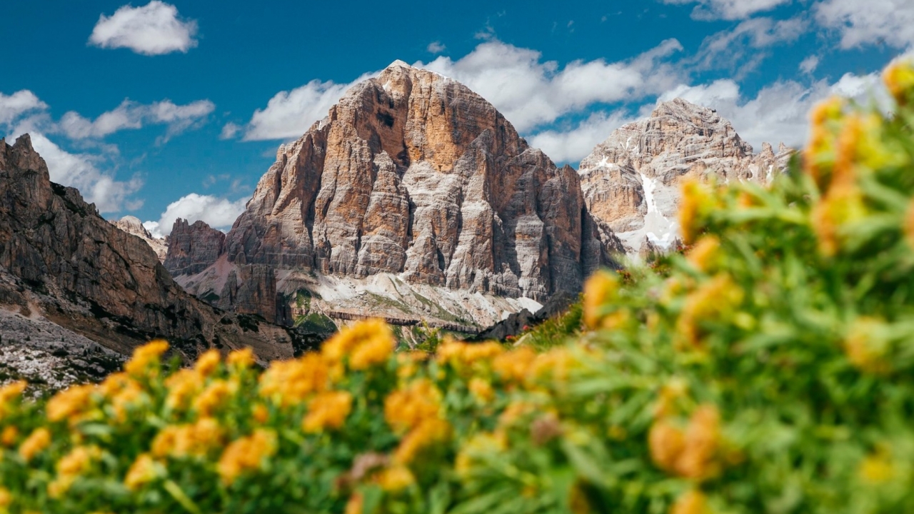 New build - Duplex - Belluno - Cortina di Ampezzo