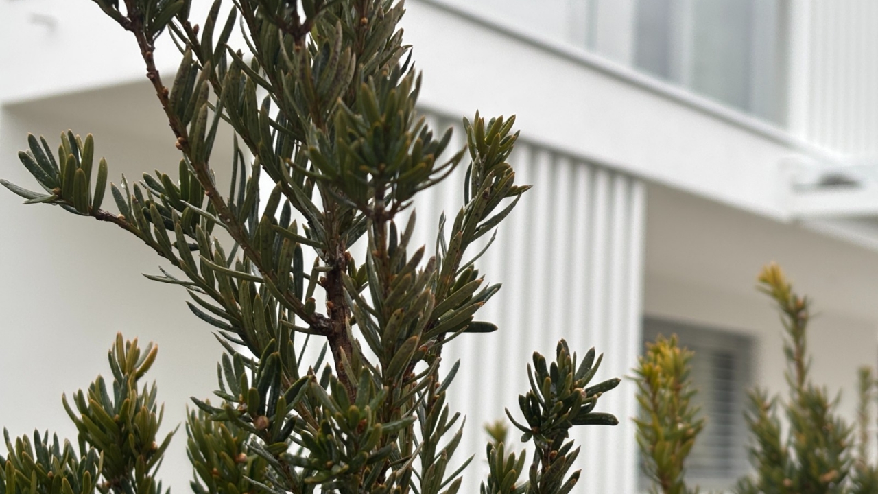 New build - Penthouse - Bressanone