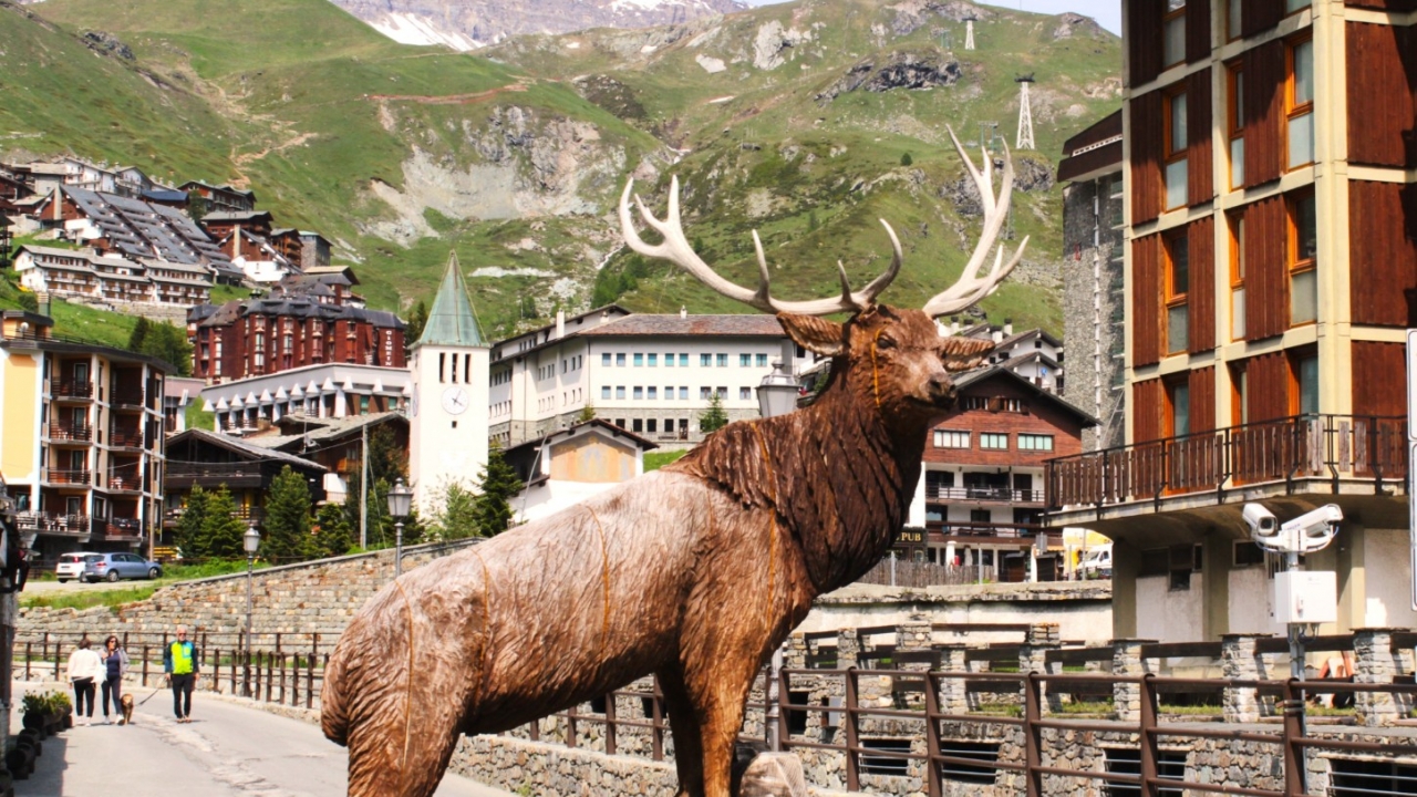 Sale - Apartment - Aosta - Cervinia