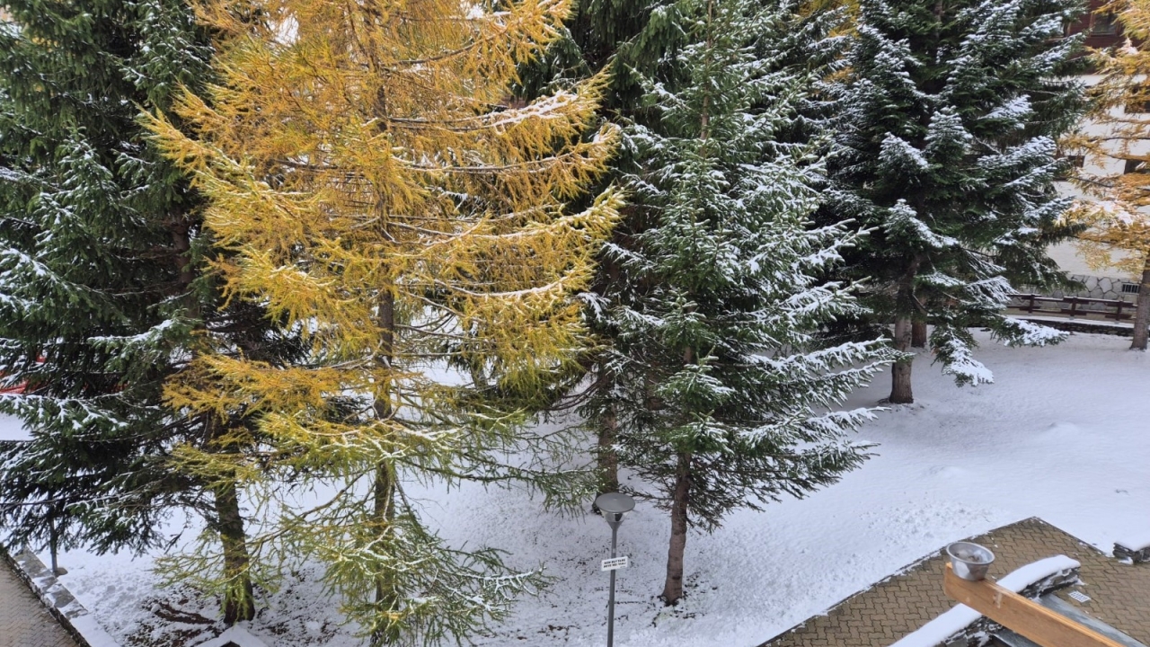 Sale - Apartment - Aosta - Cervinia