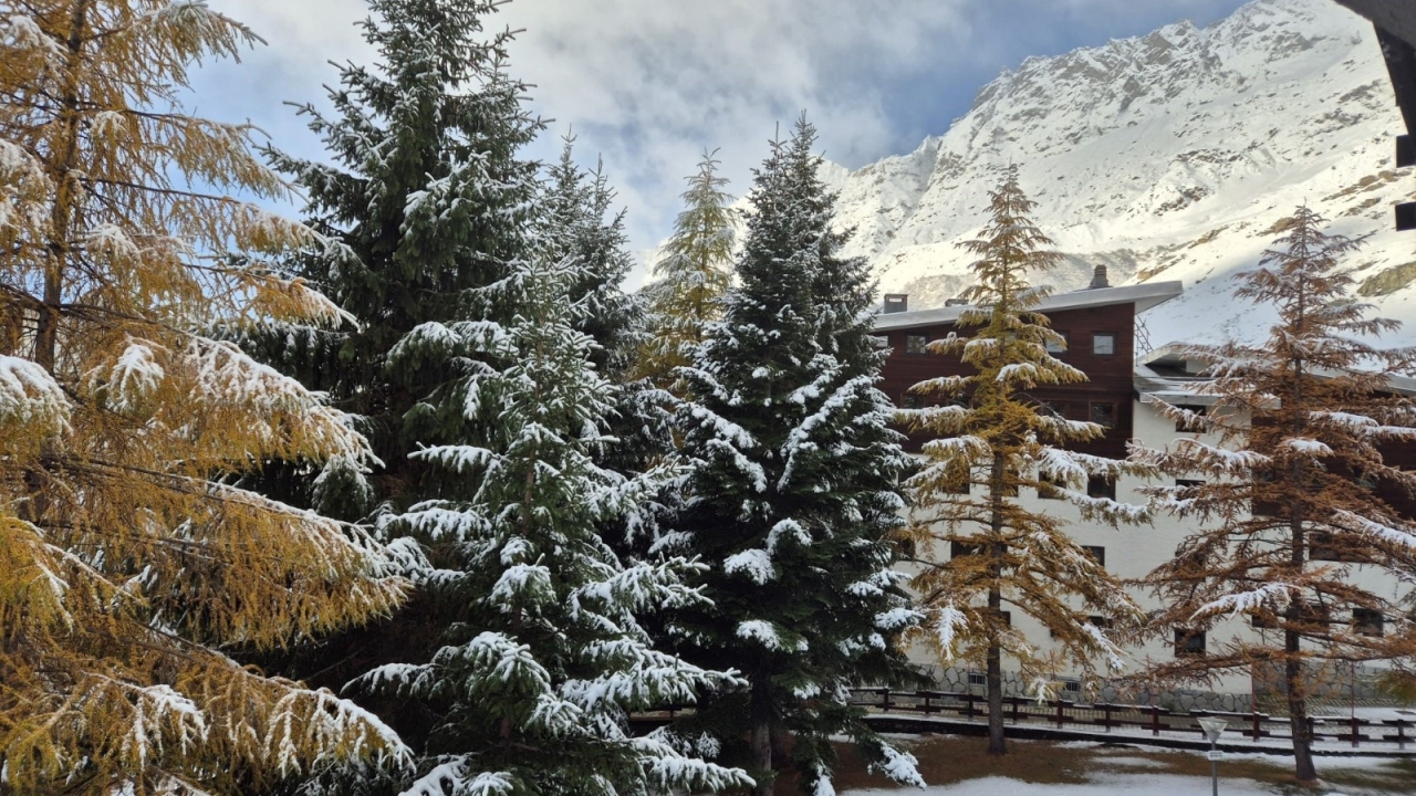 Sale - Apartment - Aosta - Cervinia