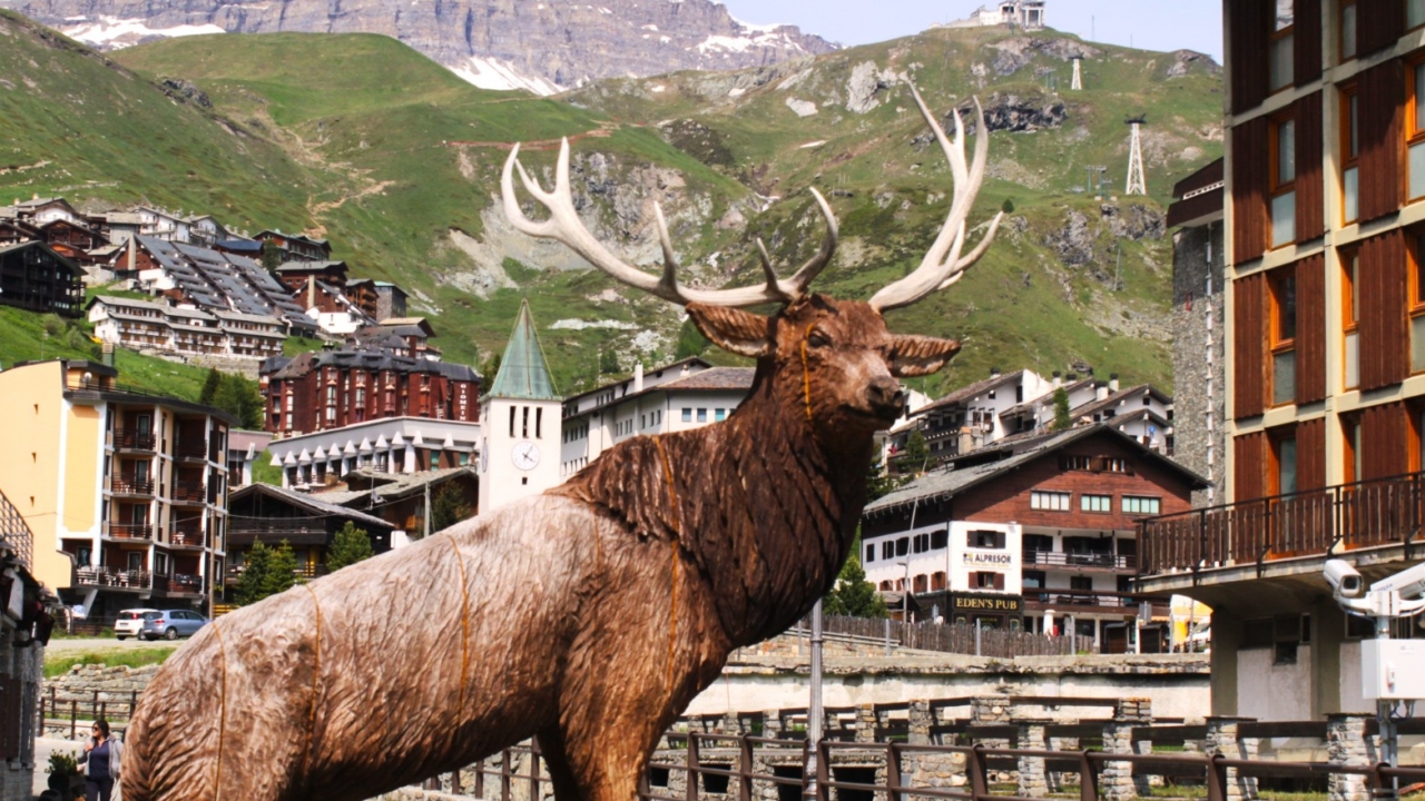 Sale - Apartment - Aosta - Cervinia