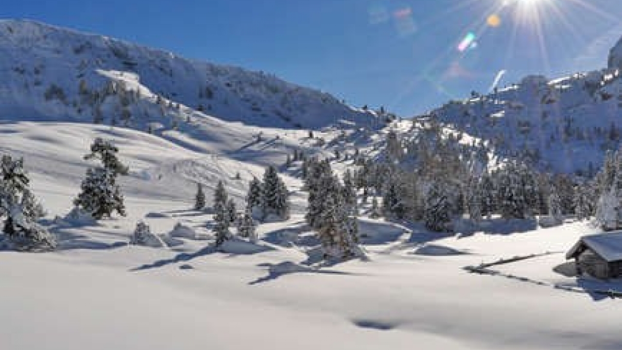 Sale - Apartment - Bolzano - Selva di Val Gardena