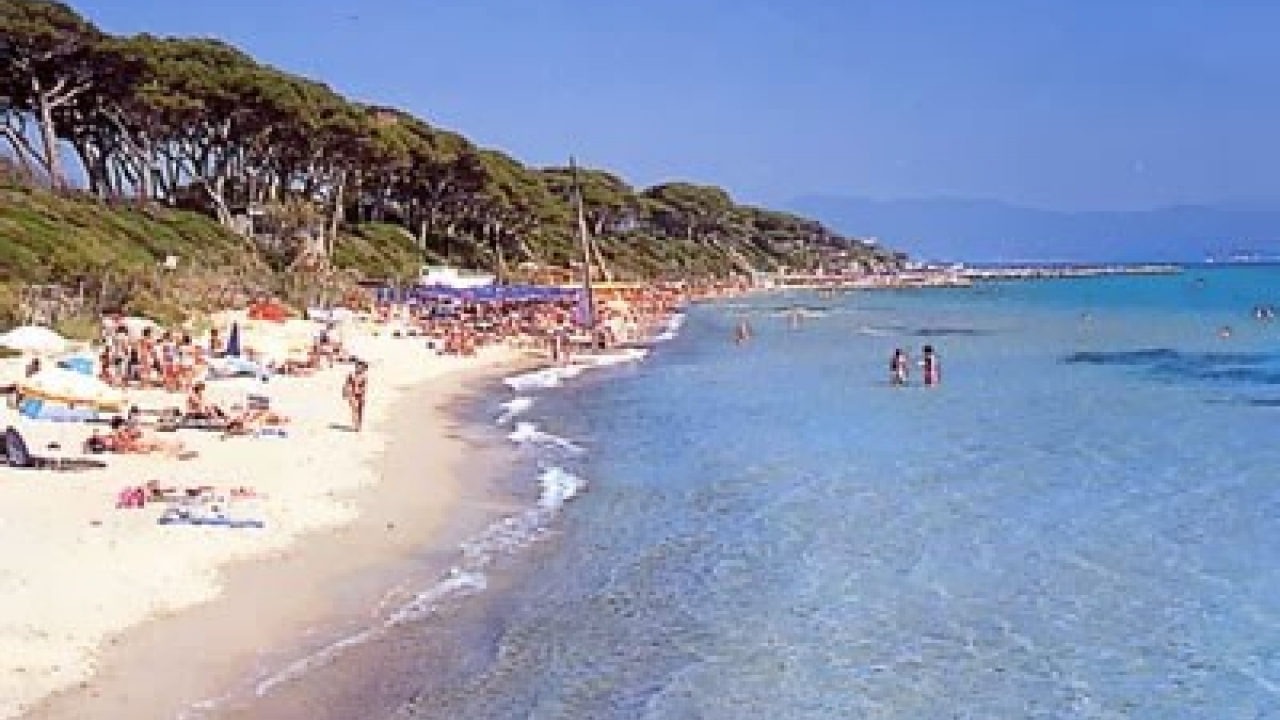 Sale - Apartment - Grosseto - Gavoranno