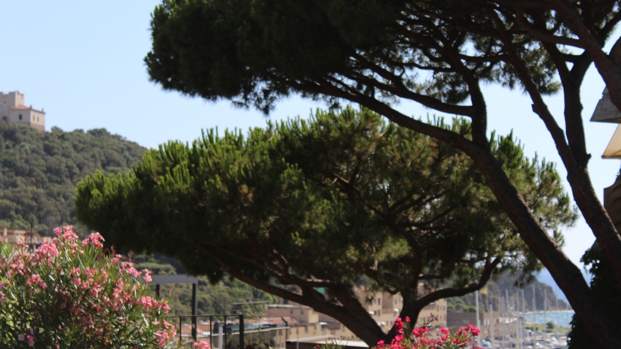 Sale - Apartment - Grosseto - Gavoranno