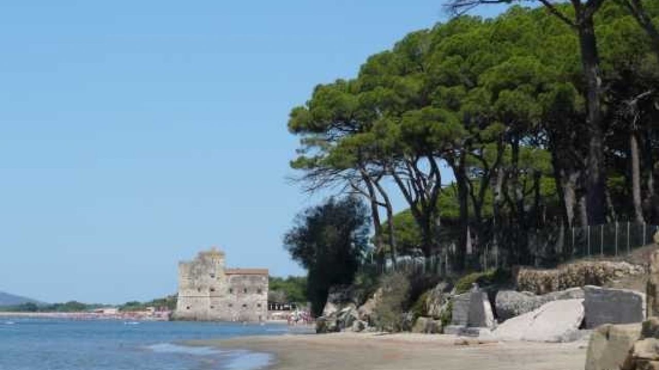Sale - Apartment - Grosseto - Gavoranno