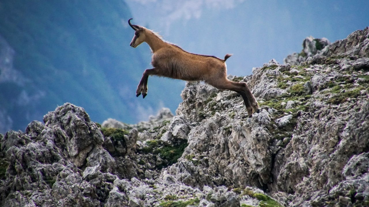 Sale - Apartment - Trento - Valdaora