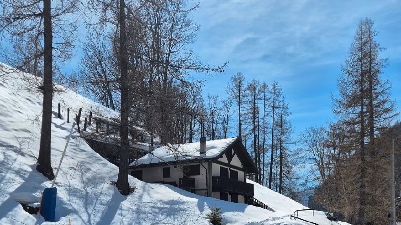 Sale - Chalet - Aosta - Valtournenche