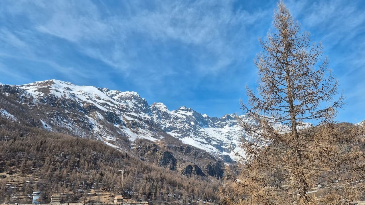 Sale - Chalet - Aosta - Valtournenche