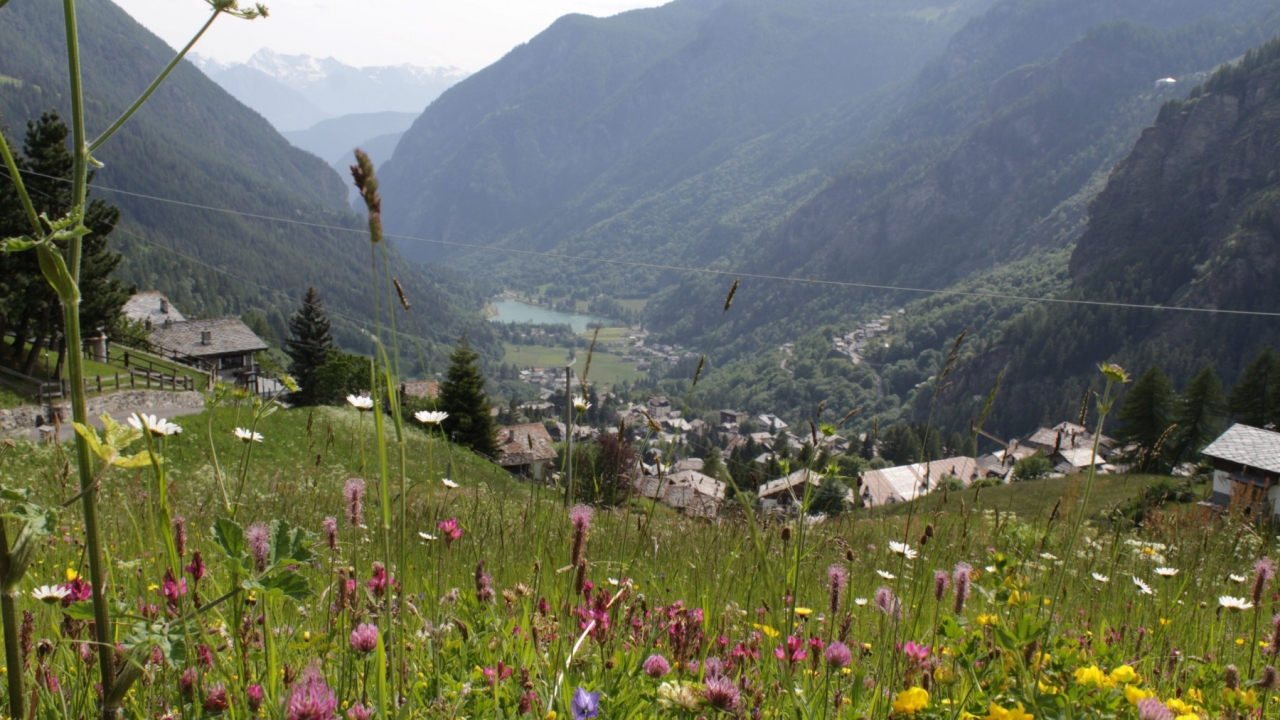 Sale - Chalet - Aosta - Valtournenche