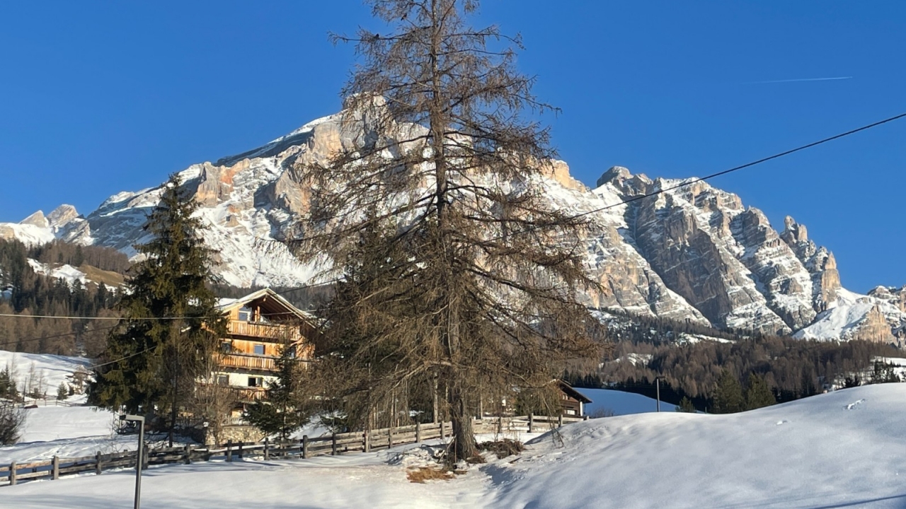 Sale - Chalet - Bolzano - Corvara-Alta Badia