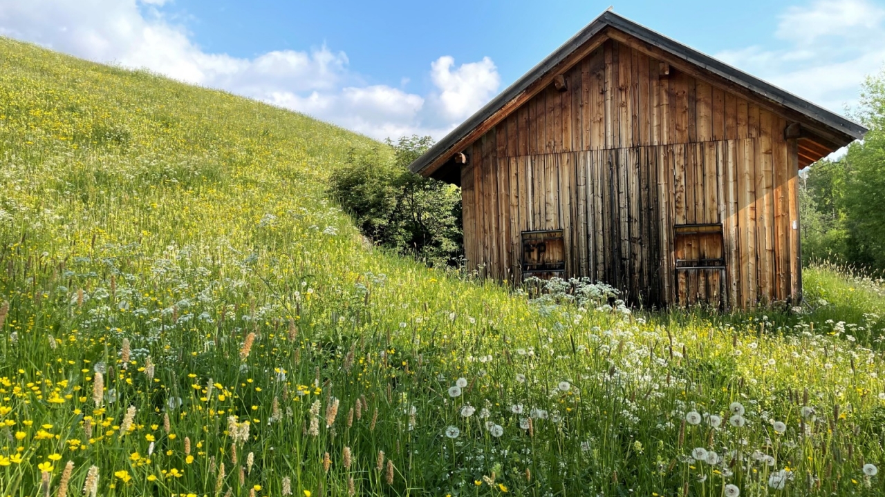 Sale - Chalet - Bruneck