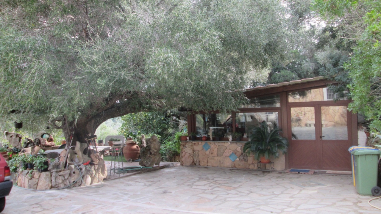 Sale - Detached - Porto Rotondo