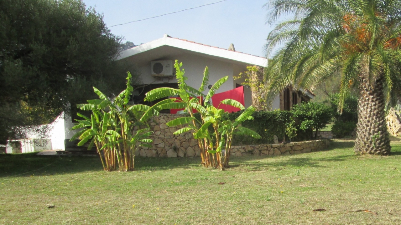 Sale - Detached - Porto Rotondo