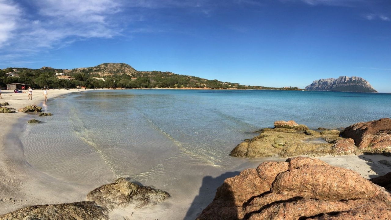 Sale - Detached - Porto Rotondo