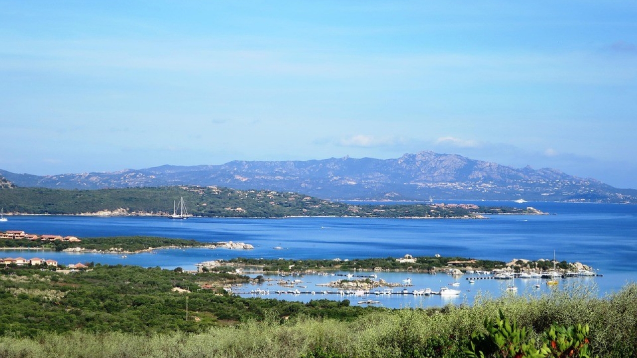 Sale - Detached - Porto Rotondo