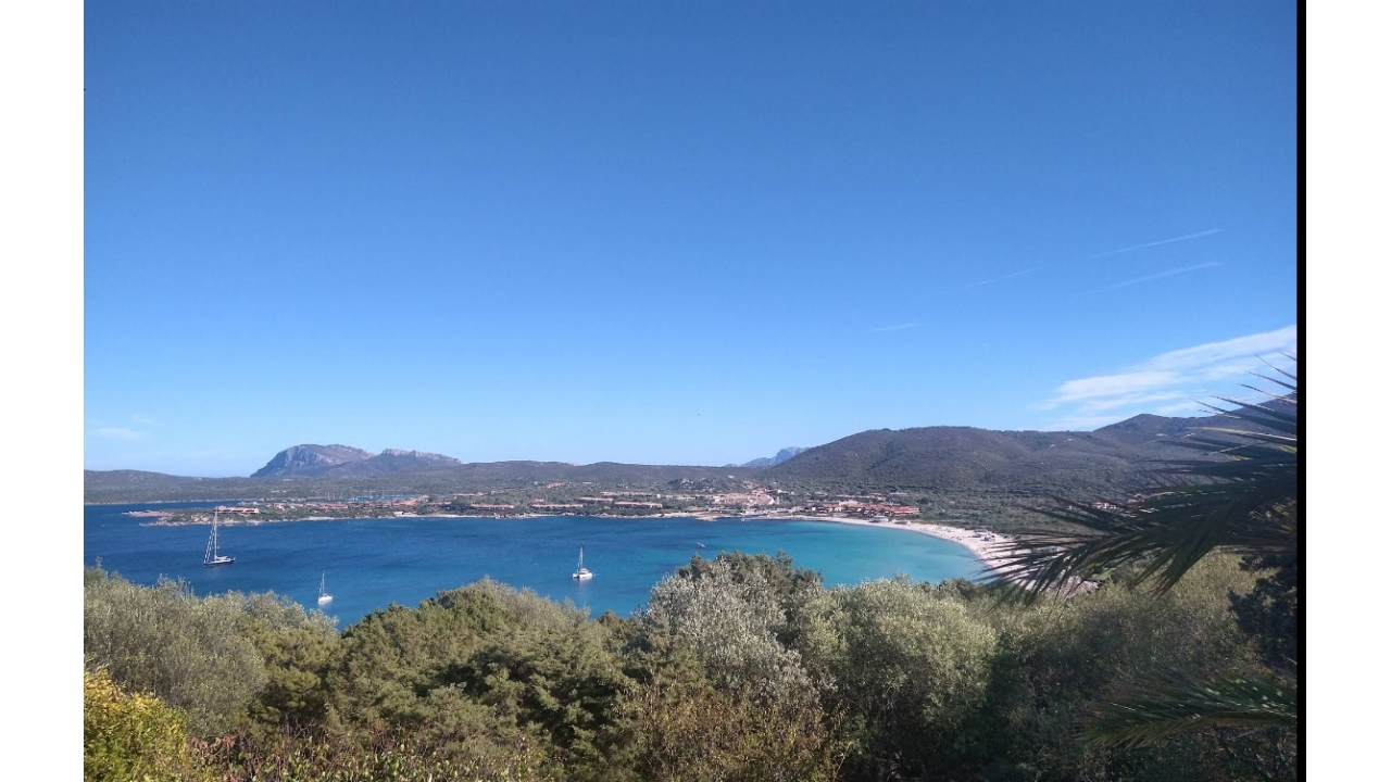 Sale - Detached - Porto Rotondo