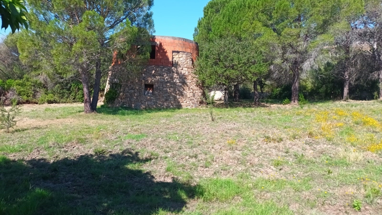 Sale - Detached - Porto Rotondo