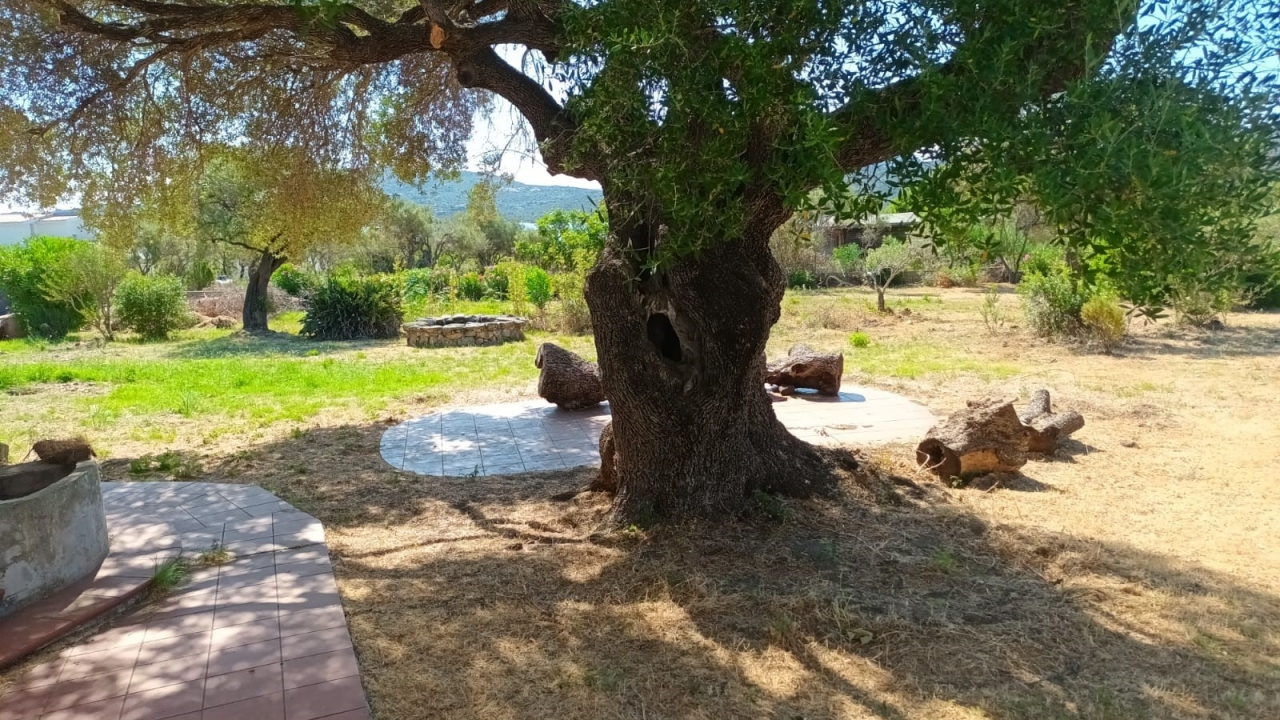 Sale - Detached - Porto Rotondo