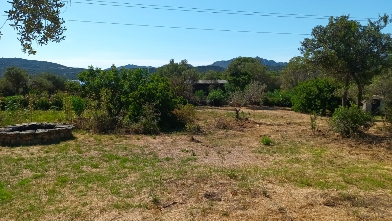 Sale - Detached - Porto Rotondo