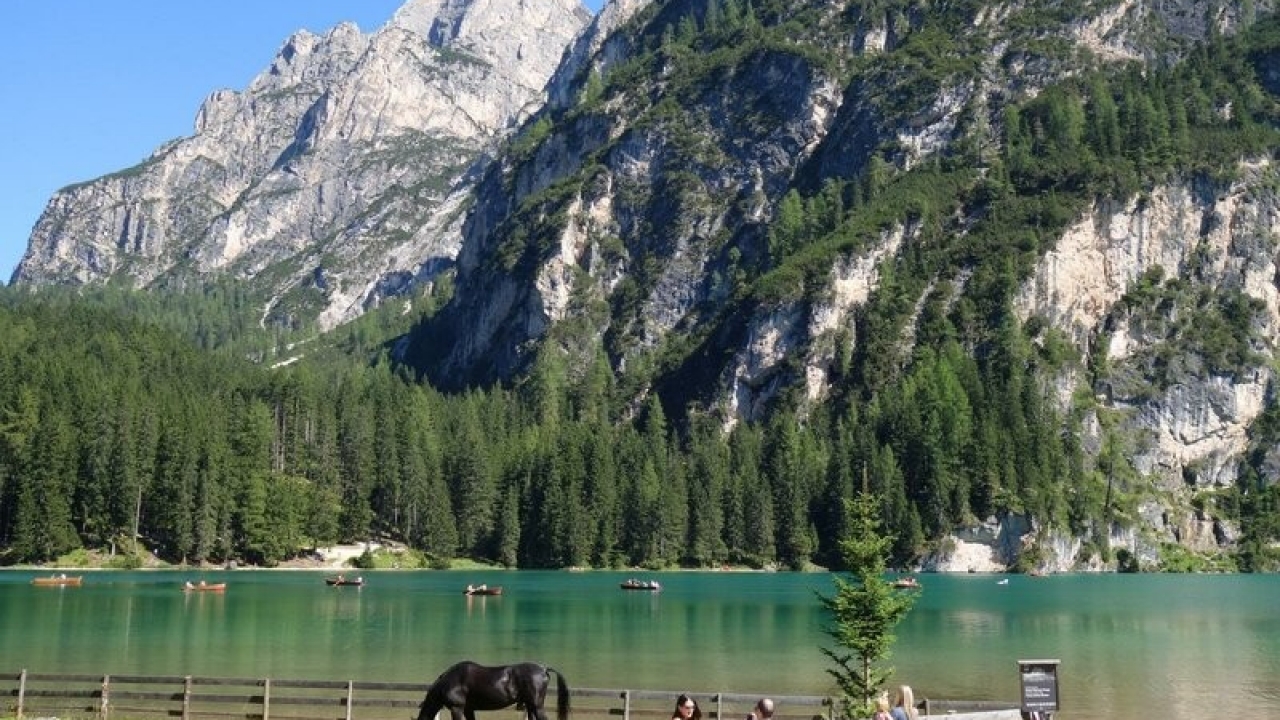 Sale - DuplexPenthouse - Bruneck