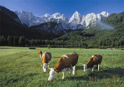 Did you know about South Tyrol…