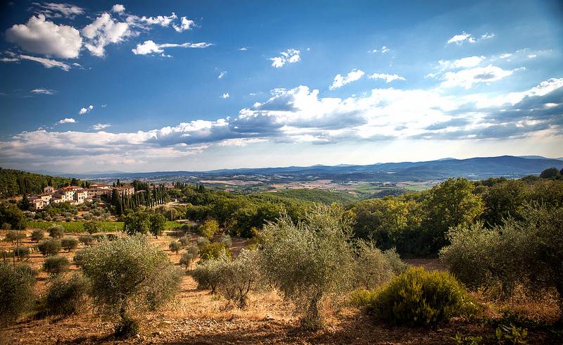 September signifies the olive harvest season in Tuscany, Italy 