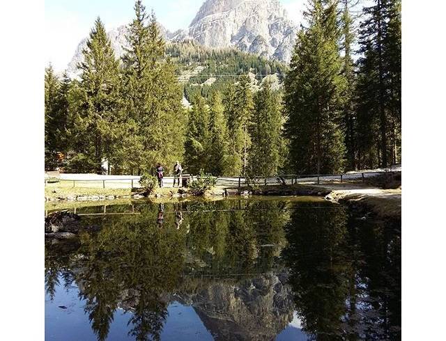 Reforestation in Alta Badia, Dolomites