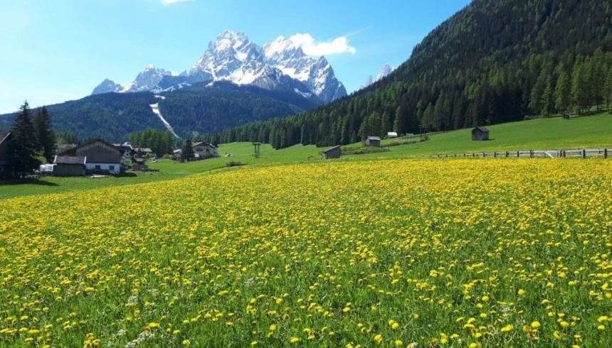 Visiting South Tyrol in Italy in summer