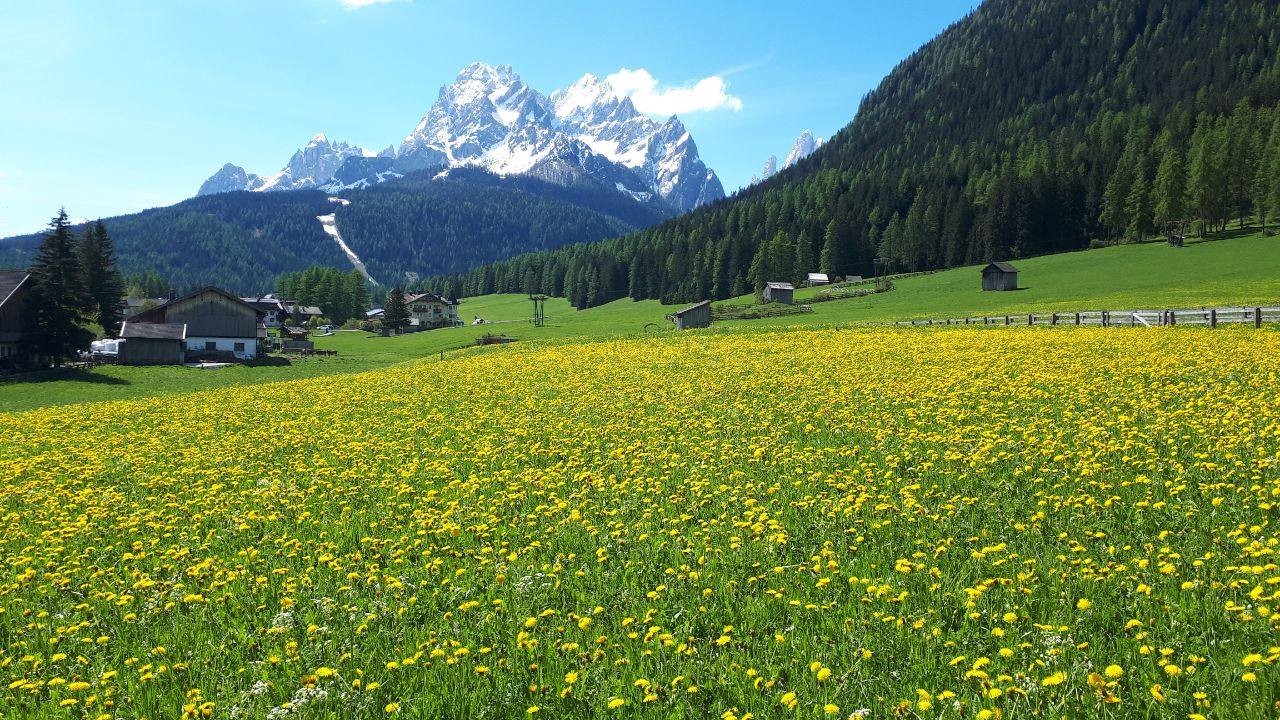 Apartment in Sesto/Sexten - view 1