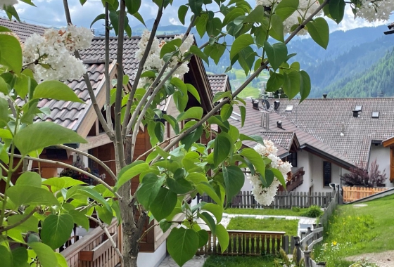 Sale - Maisonette - Bolzano - Colfosco-Alta Badia