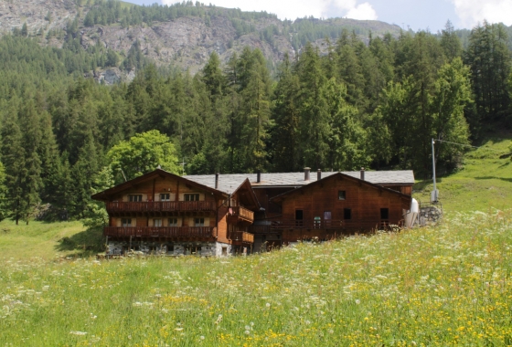 Sale - Chalet - Aosta - Cervinia