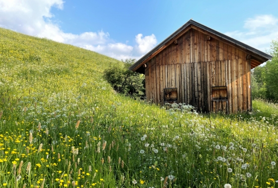 Sale - Chalet - Bruneck
