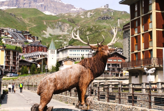 Sale - Apartment - Aosta - Cervinia