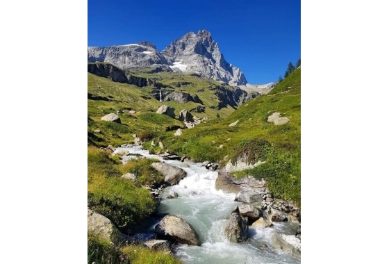 Sale - Apartment - Aosta - Cervinia