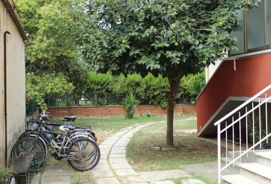 Sale - Apartment - Grosseto - Gavoranno