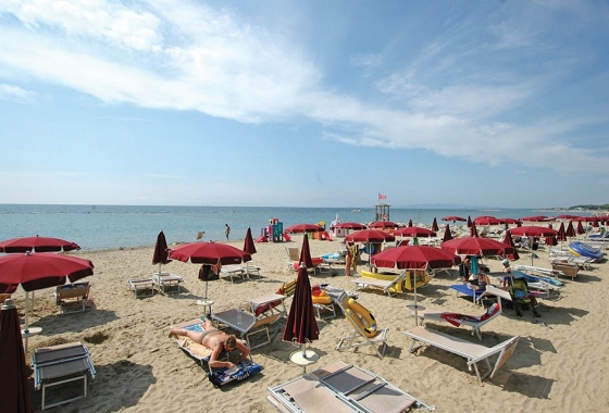 Sale - Apartment - Grosseto - Gavoranno