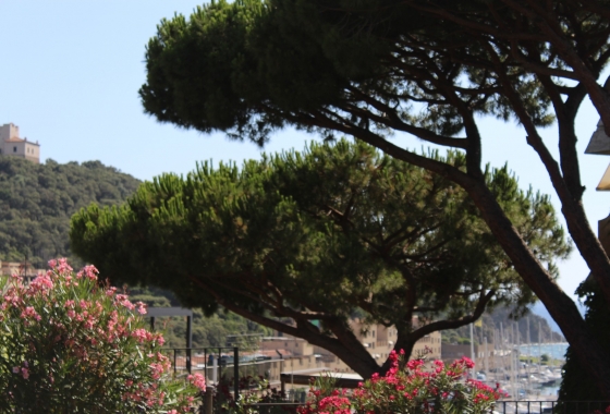 Sale - Apartment - Grosseto - Gavoranno