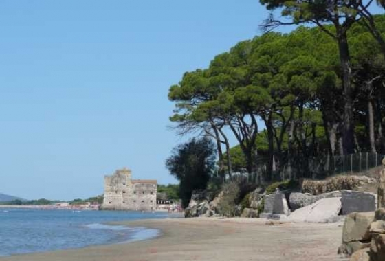 Sale - Apartment - Grosseto - Gavoranno