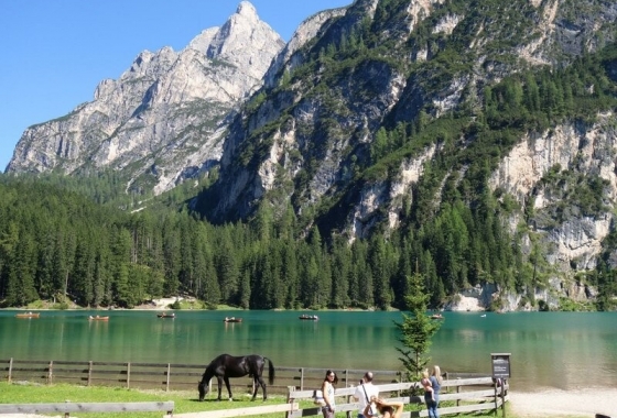 Sale - DuplexPenthouse - Bruneck