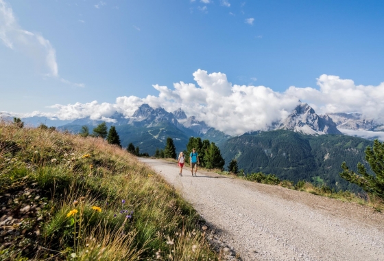 Sale - Chalet - Bolzano - Dobbiaco- Val Pusteria