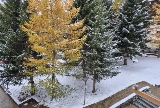 Sale - Apartment - Aosta - Cervinia