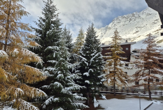 Sale - Apartment - Aosta - Cervinia