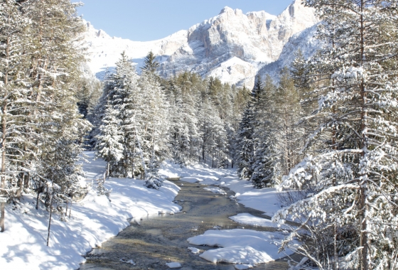 Sale - Chalet - Bolzano - Corvara-Alta Badia